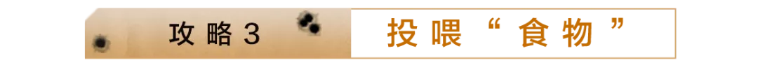 尤文图斯力,争以低价万,欧出售球员,香港赛马场,赛程安排,赛果查询,马匹资料,赛事动态