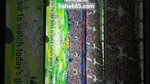 张晶教练谈亚冬会：遗憾与收获交织，惊喜感动并行——新华网报道